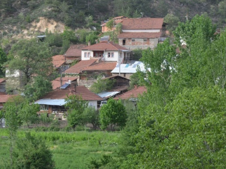 Fotoğraf